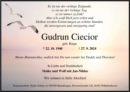 Traueranzeige von Gudrun Ciecior von WZ/JW/AH