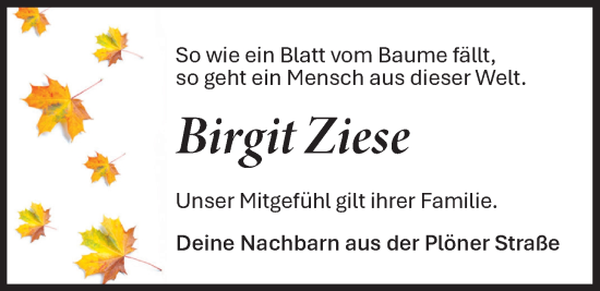 Traueranzeige von Birgit Ziese von Nordwest-Zeitung